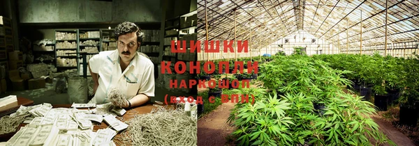 мдпв Покачи