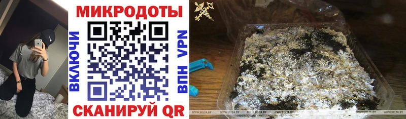 Галлюциногенные грибы прущие грибы  закладки  Лакинск 